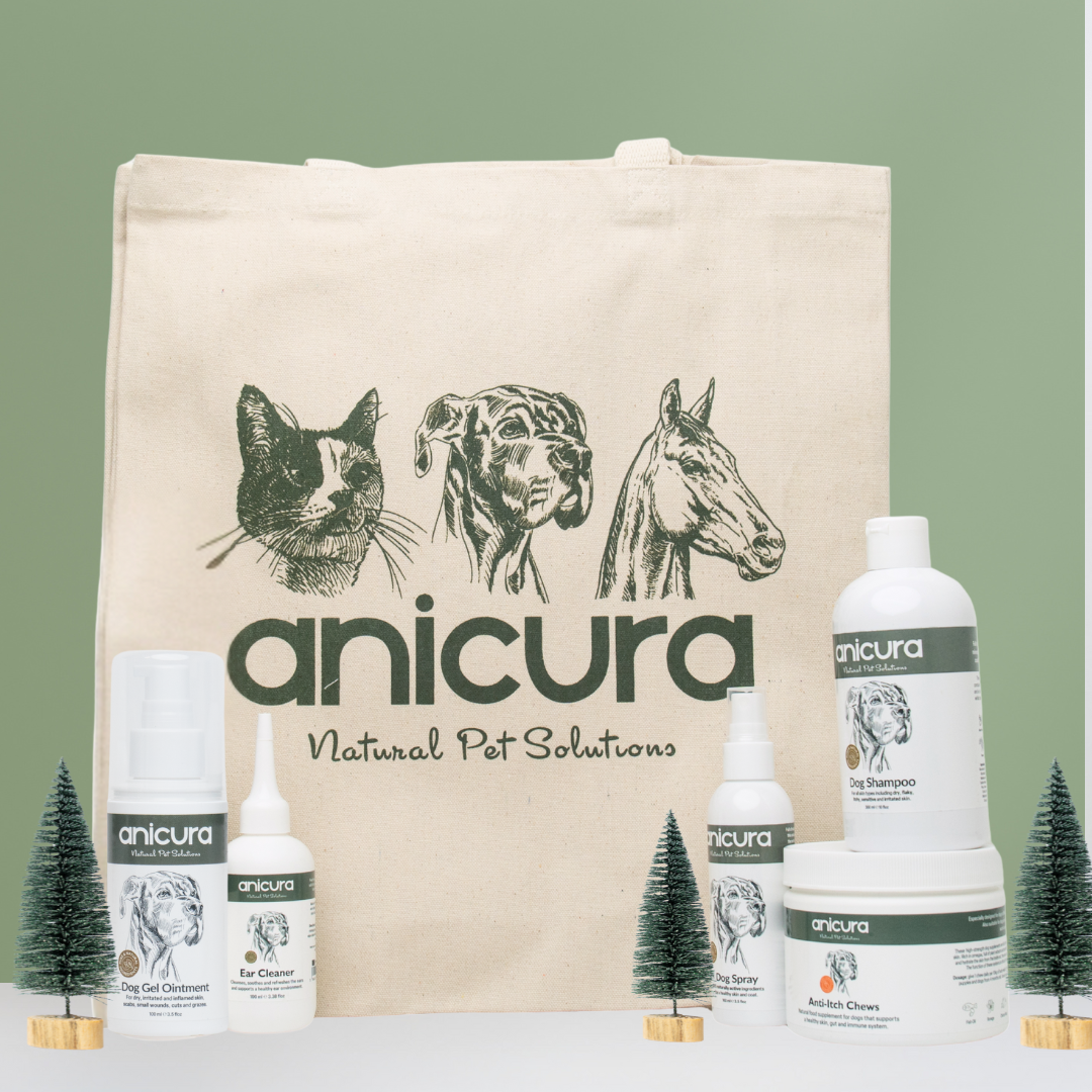 The Dog Stocking - FREE Anti-Itch Chews &amp; Tote Bag!