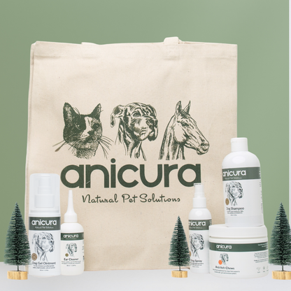 The Dog Stocking - FREE Anti-Itch Chews &amp; Tote Bag!