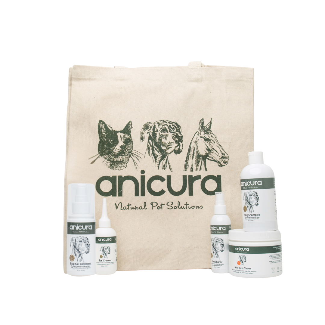 The Dog Stocking - FREE Anti-Itch Chews &amp; Tote Bag!