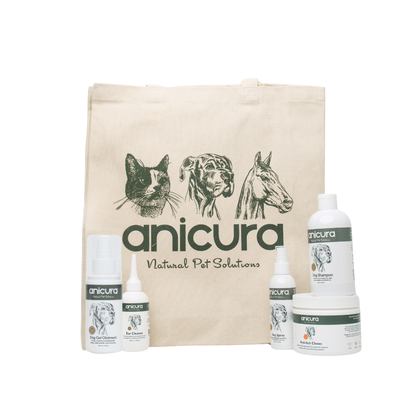The Dog Stocking - FREE Anti-Itch Chews &amp; Tote Bag!
