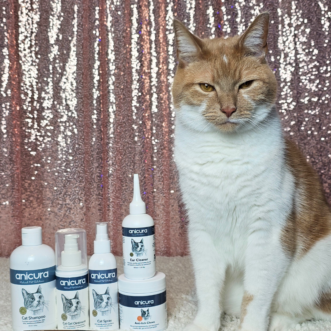 The Cat Total Care Gift - FREE Anti-Itch Chews &amp; Tote Bag!