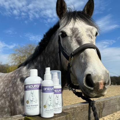 The Horse Total Care Gift- FREE Hoof Oil &amp; Tote Bag!