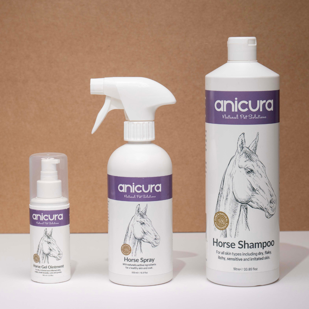 Large Horse Skin Rescue Bundle