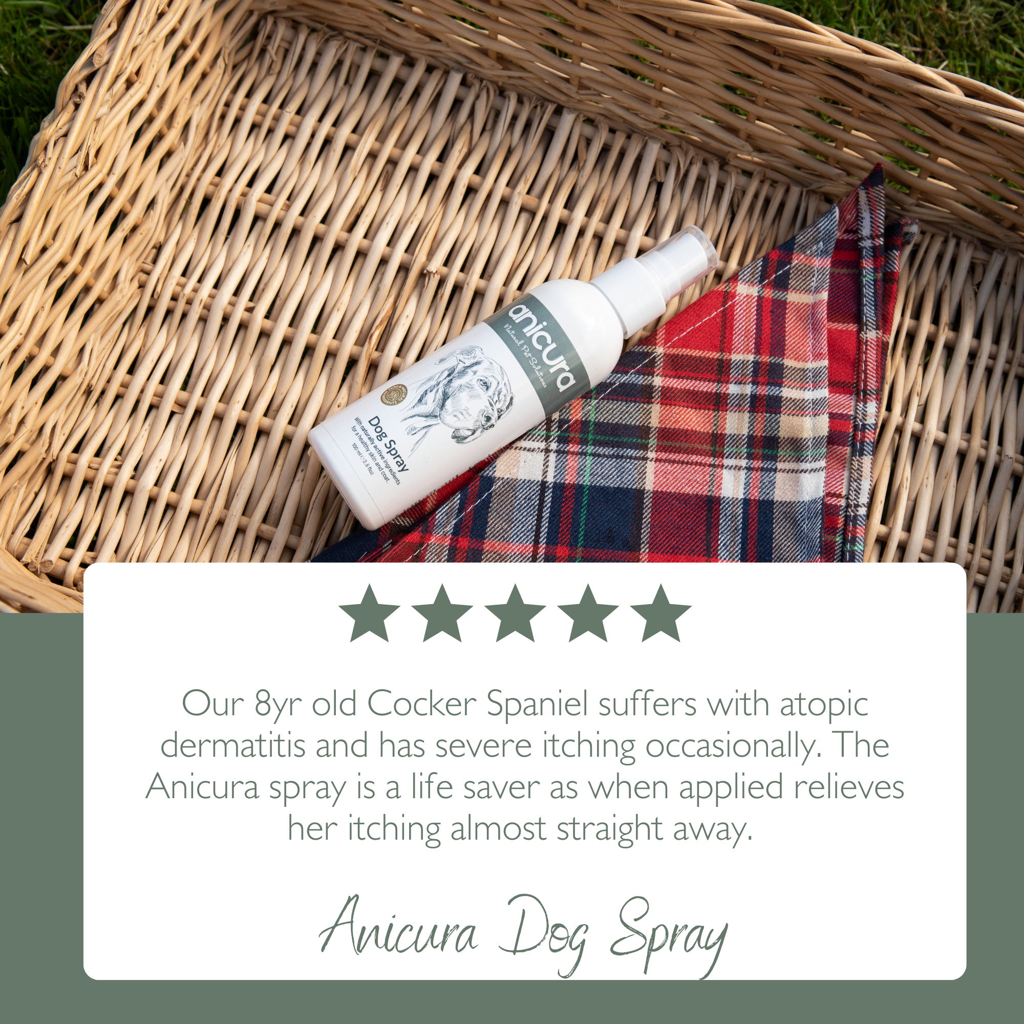 Dog Spray