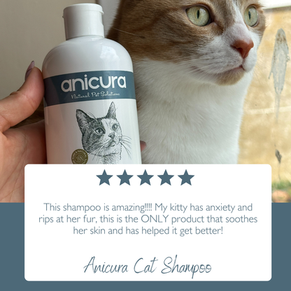 Cat Shampoo