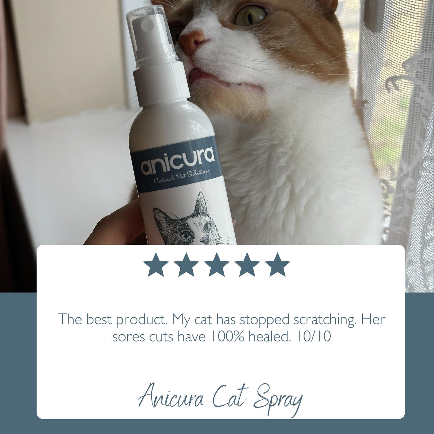 Cat Spray