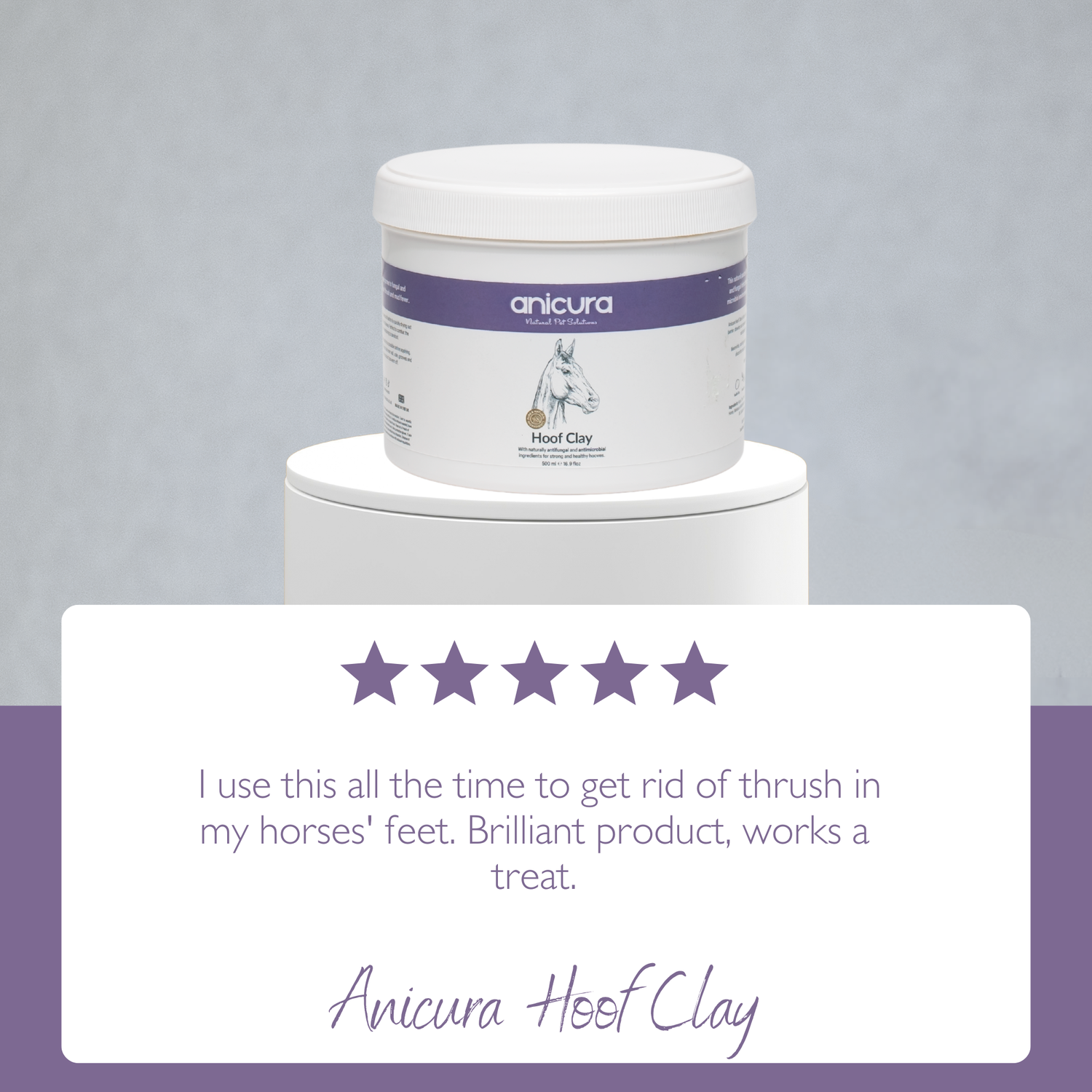 Horse Hoof Clay
