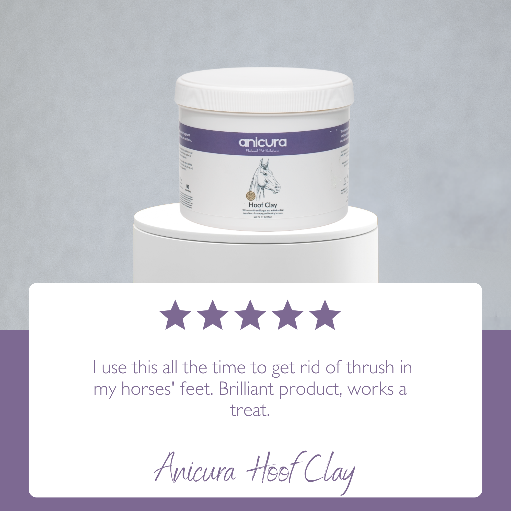Horse Hoof Clay