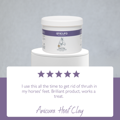 Horse Hoof Clay