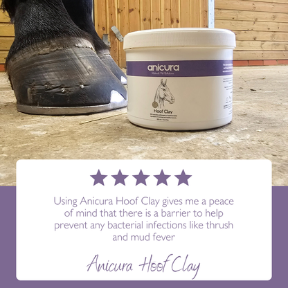 Horse Hoof Clay
