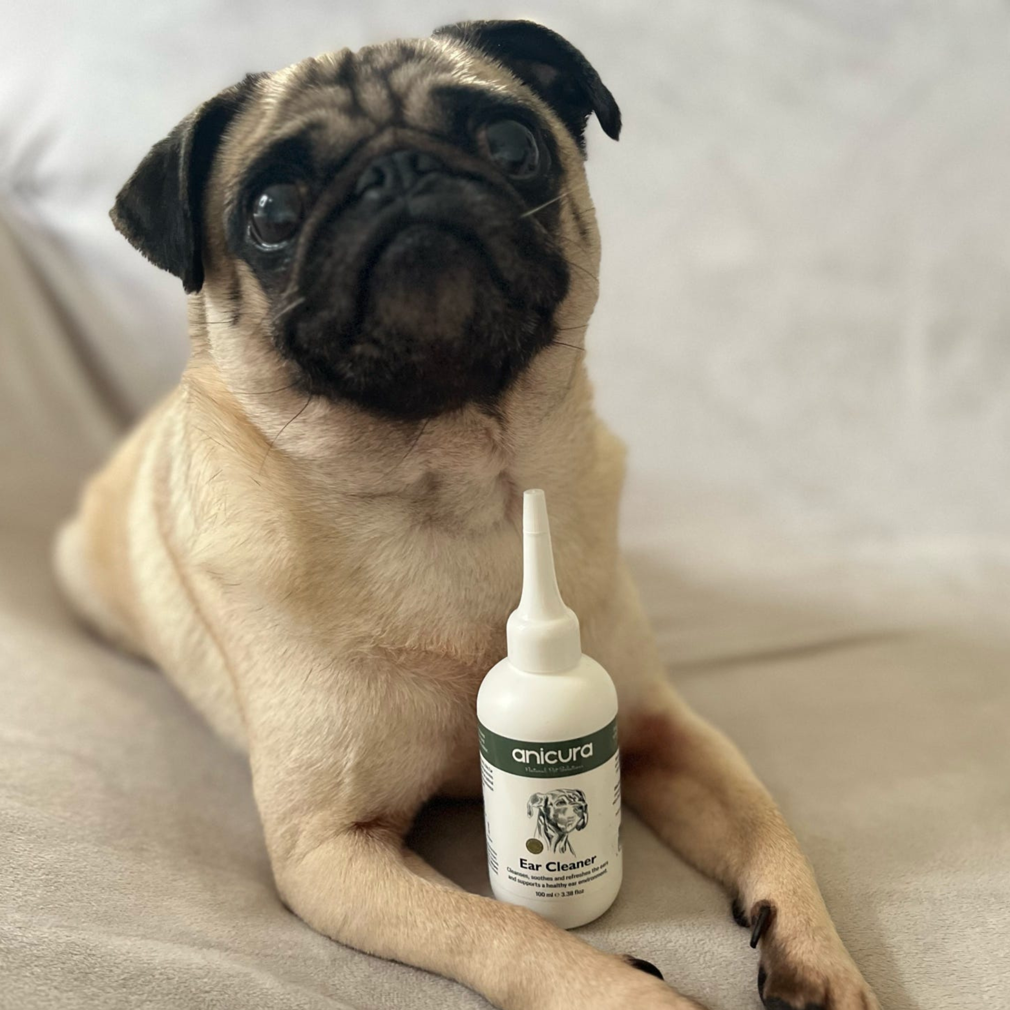 Dog Ear Cleaner