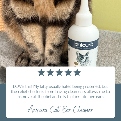 Cat Ear Cleaner
