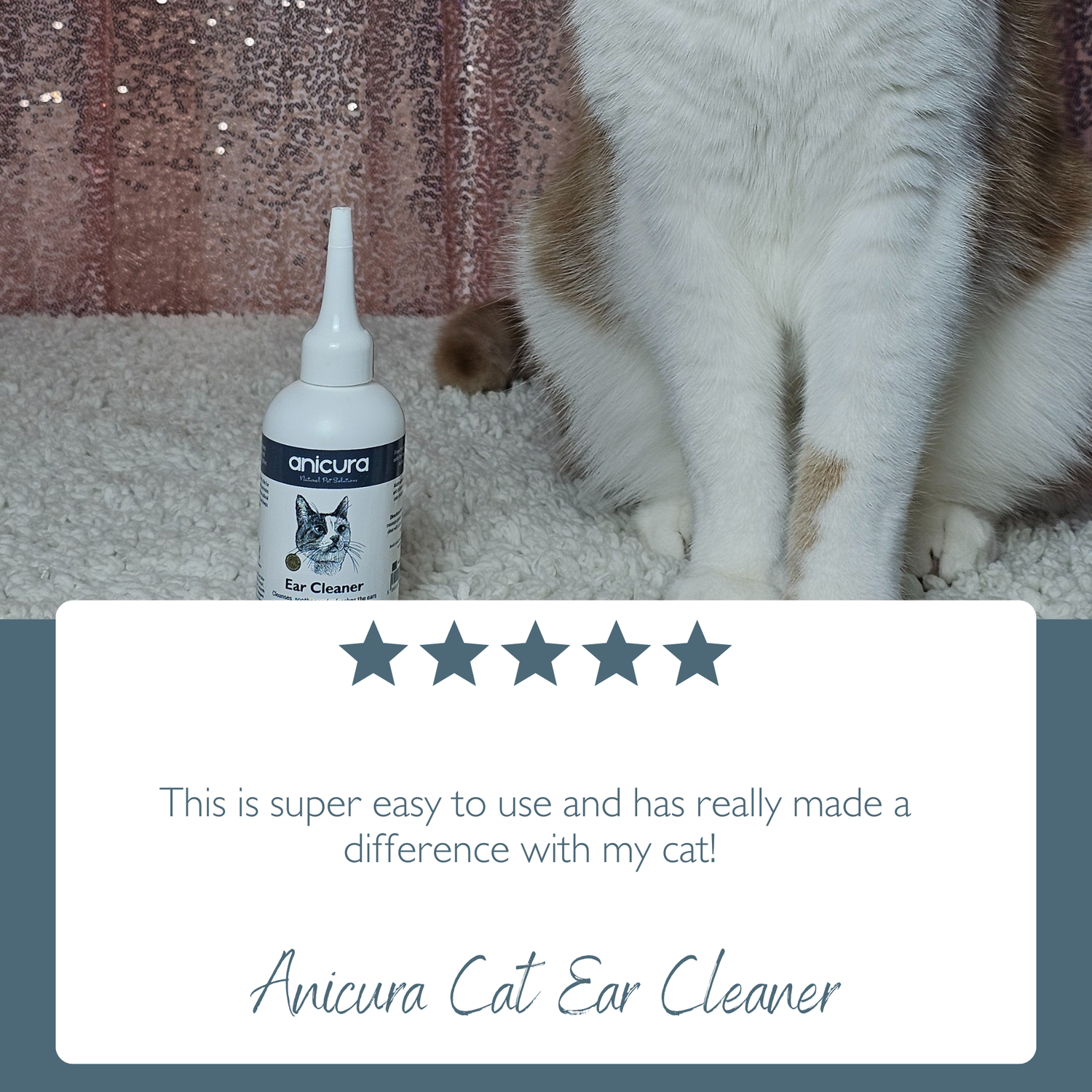 Cat Ear Cleaner