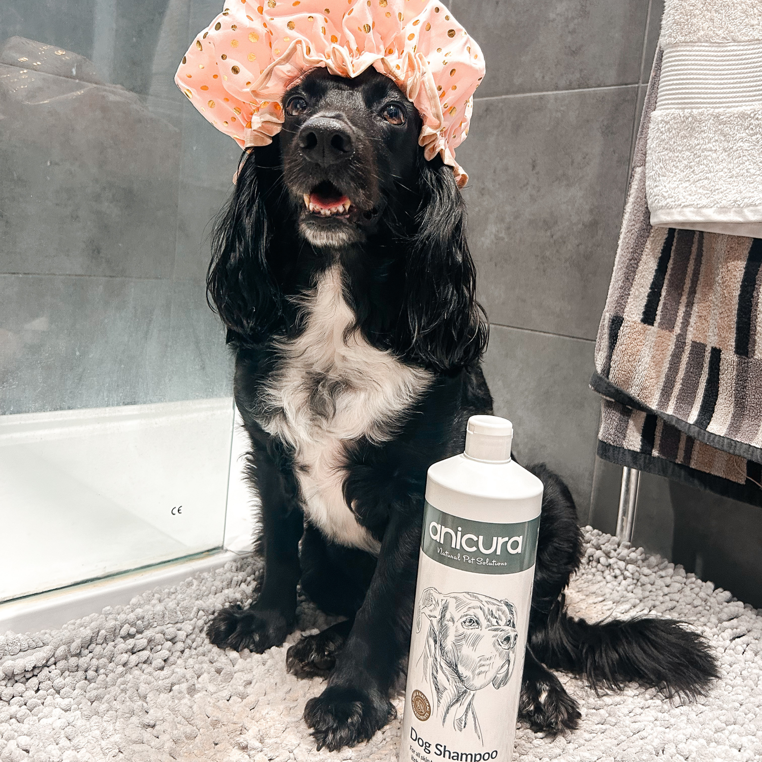 Large Dog Skin Rescue Bundle