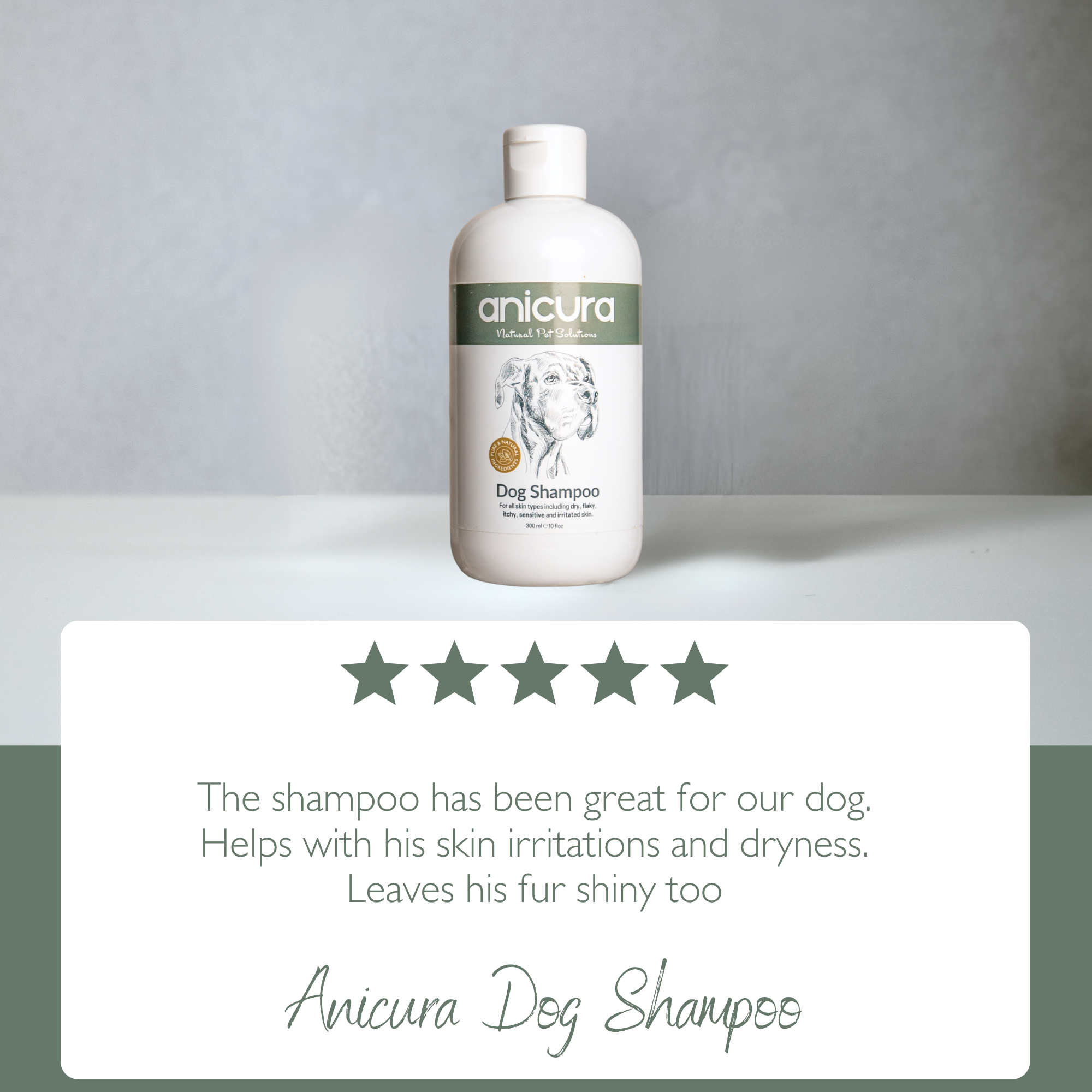 Dog Shampoo