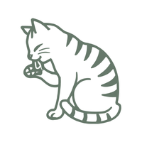 Paw Licking & Chewing