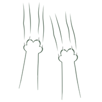 Constant Scratching