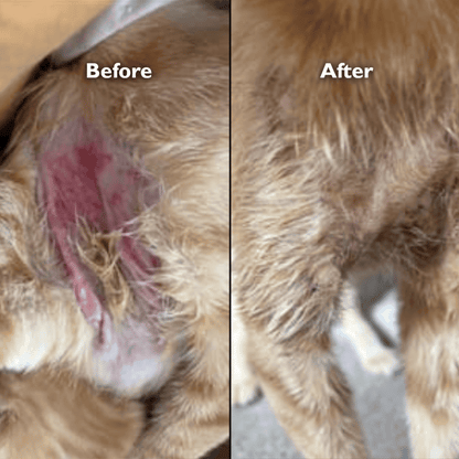 Cat Spray