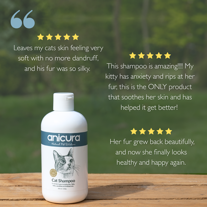 Cat Shampoo