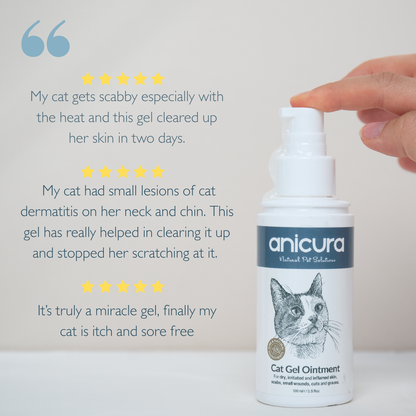Cat Gel