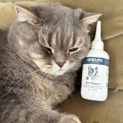 Cat Ear Cleaner