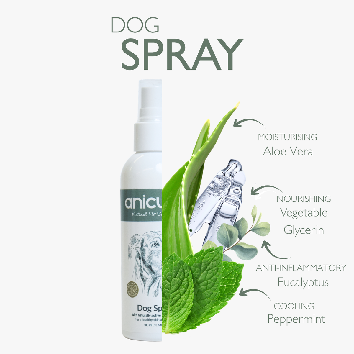 Dog Spray