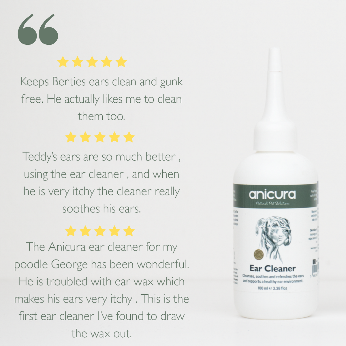 Dog Ear Cleaner