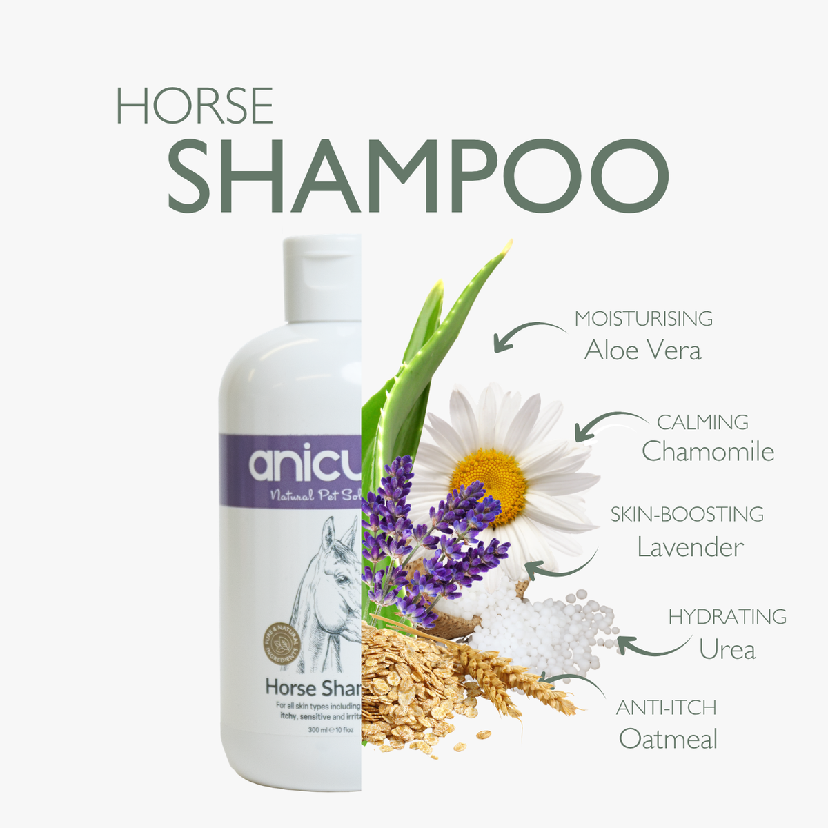 Horse Shampoo