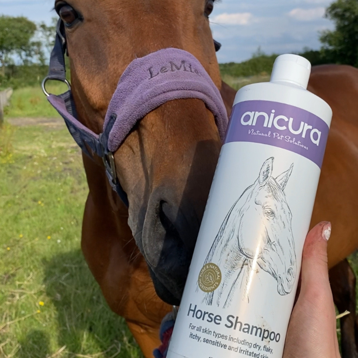 Horse Shampoo
