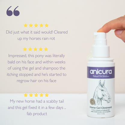 Horse Gel