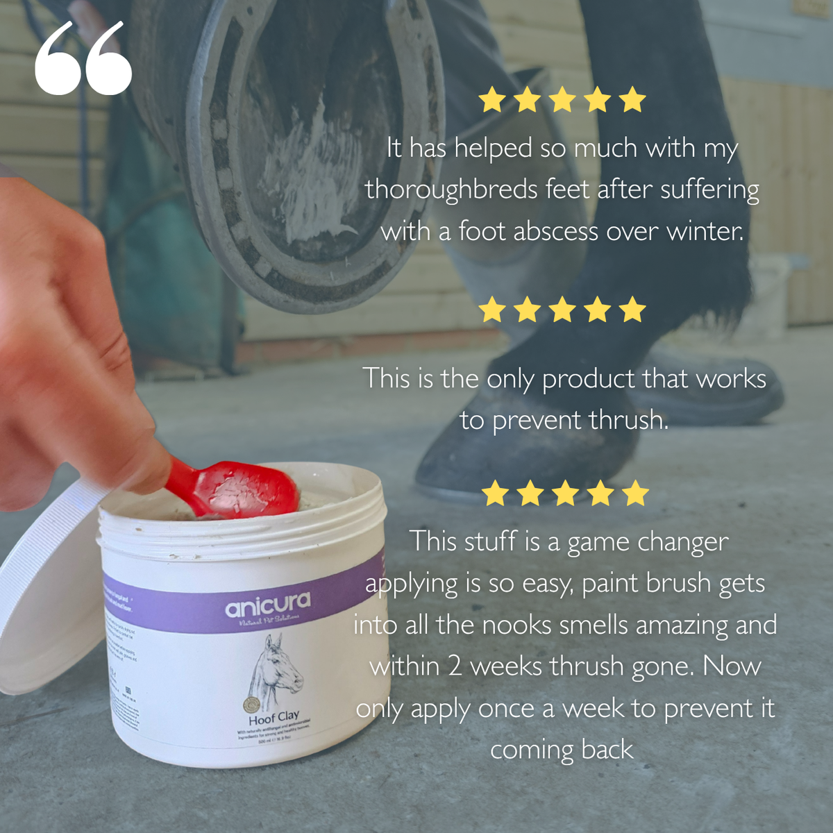 Horse Hoof Clay