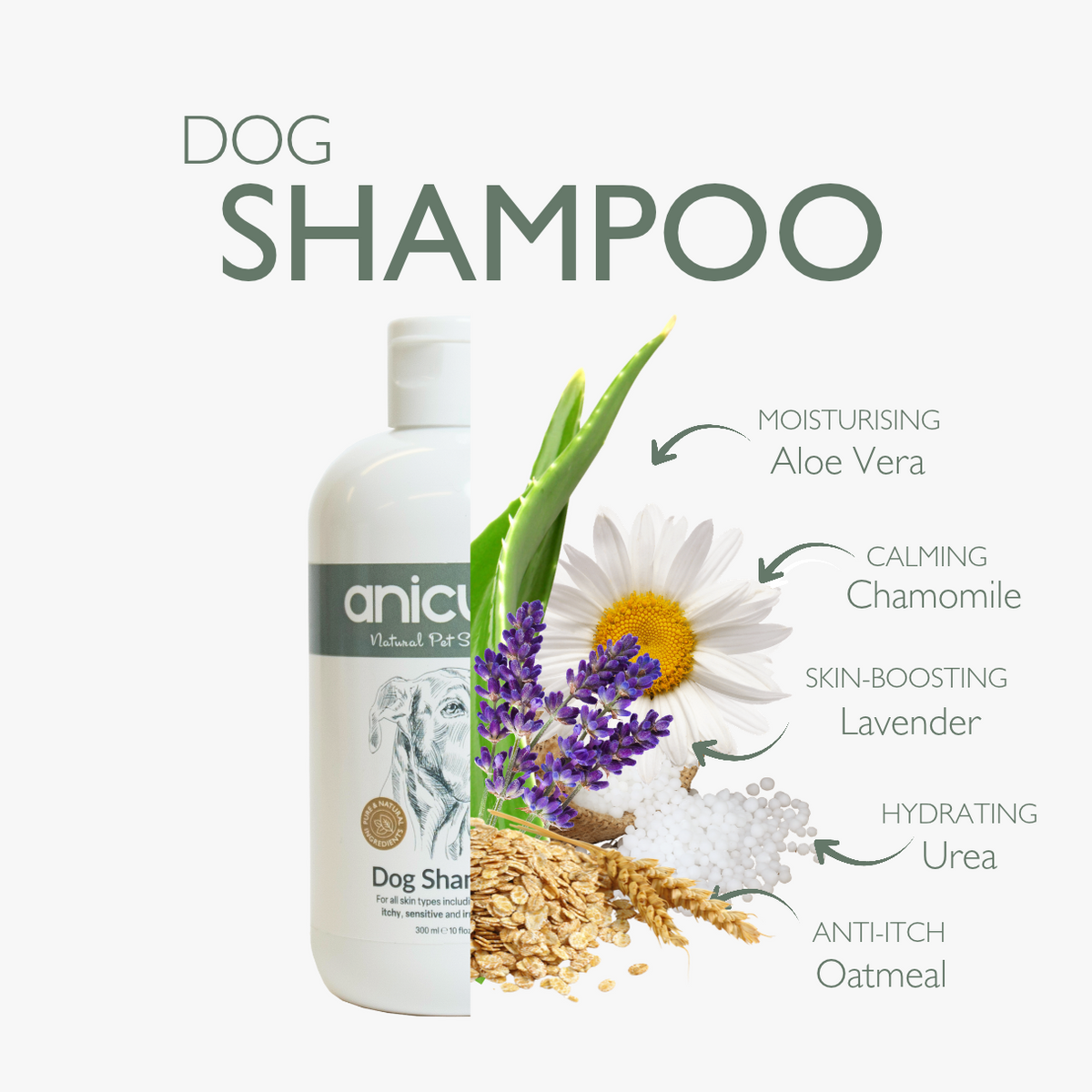 Dog Skin Rescue Bundle