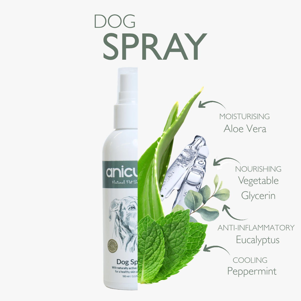 Dog Skin Rescue Bundle