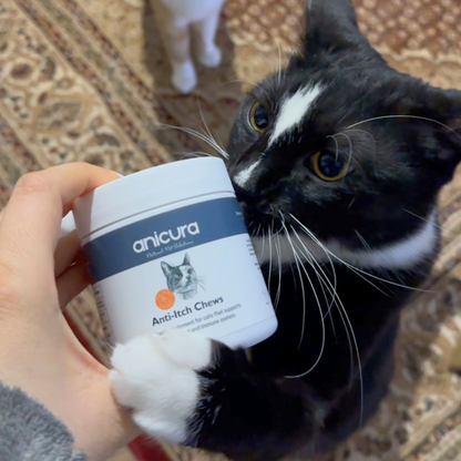 Anti-Itch Cat Chews