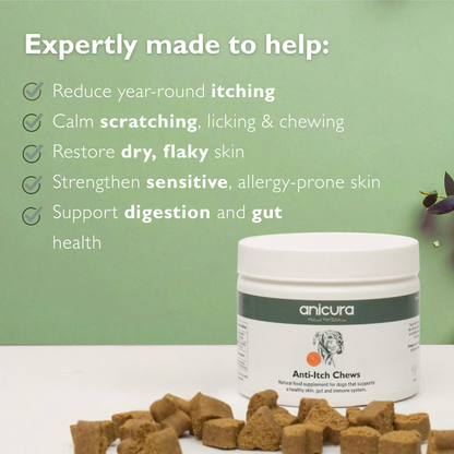 Anti-Itch Dog Chews Twin Pack