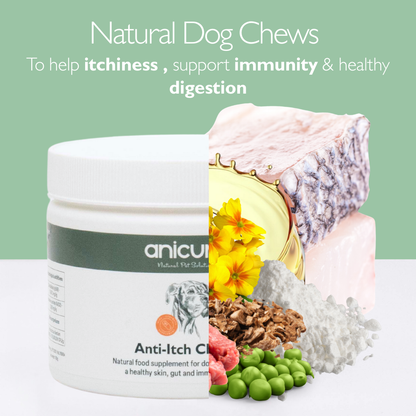Anti-Itch Dog Chews Twin Pack