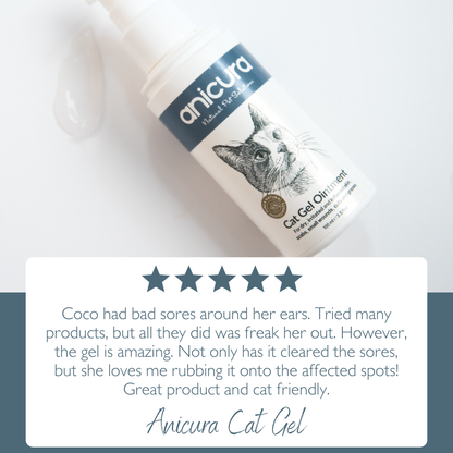 Cat Gel Twin Pack
