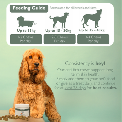 Anti-Itch Dog Chews