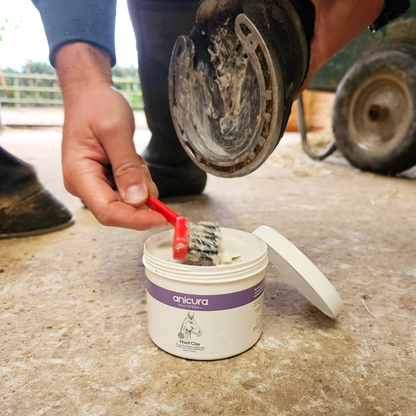 Horse Hoof Clay