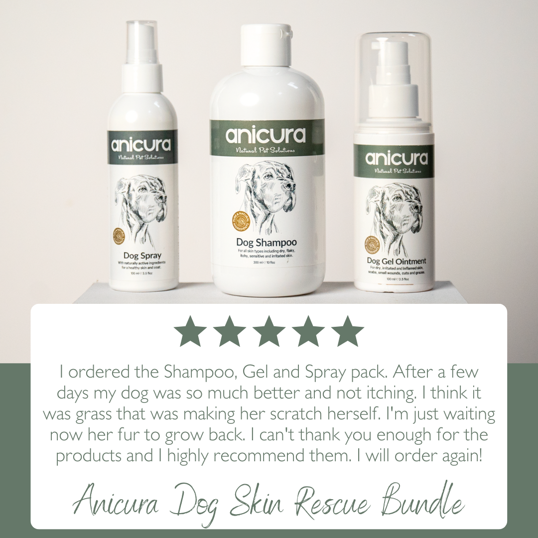 Dog Skin Rescue Bundle