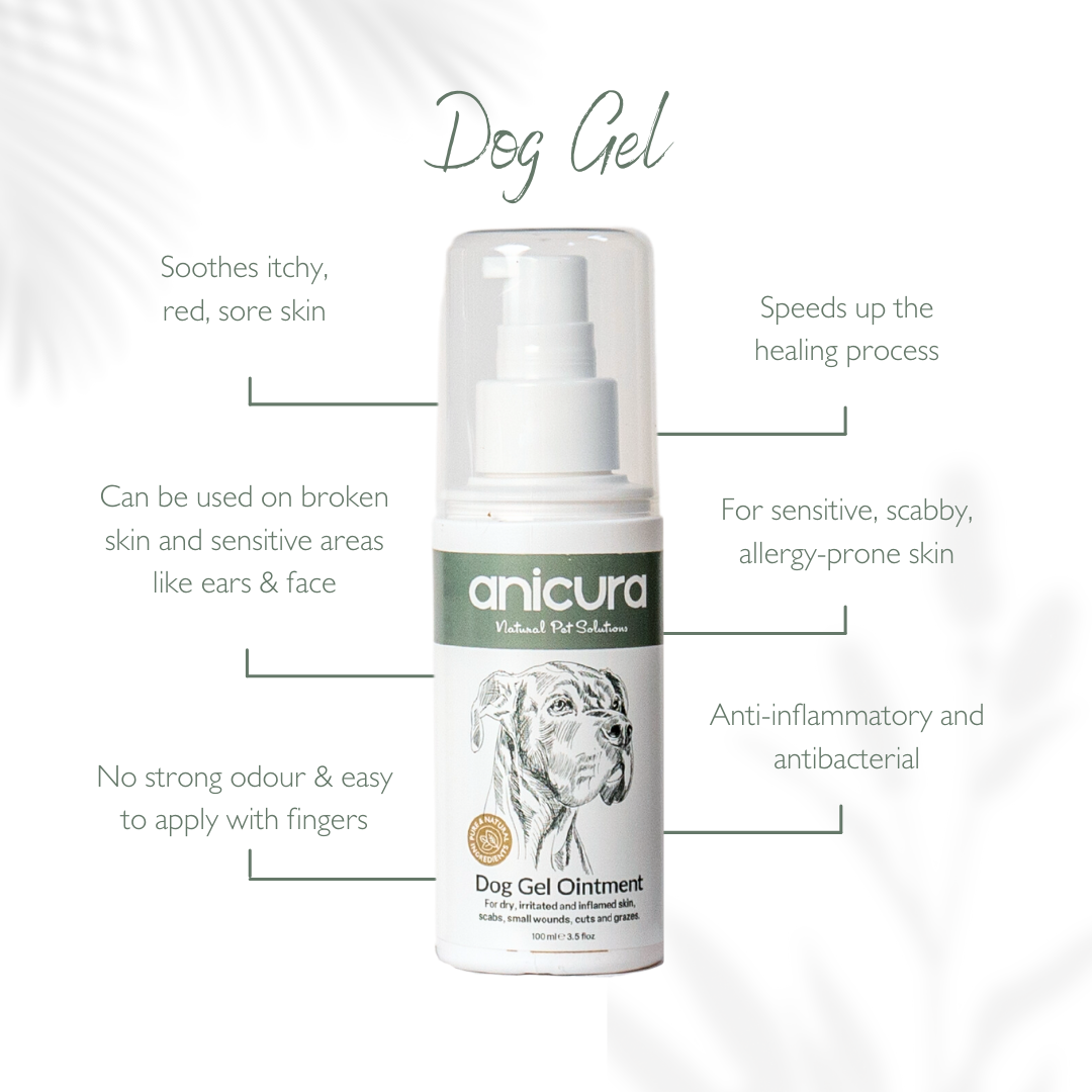 Dog Gel