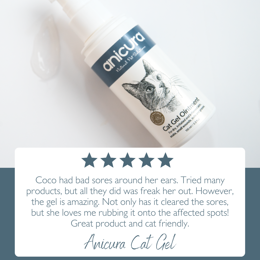 Cat Gel