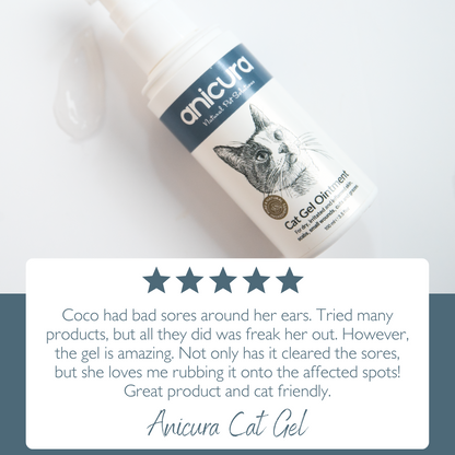 Cat Gel