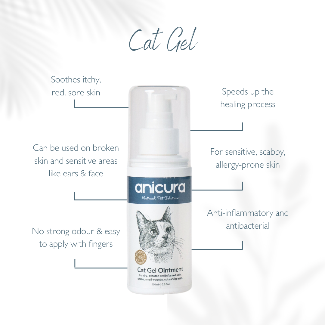 Cat Gel