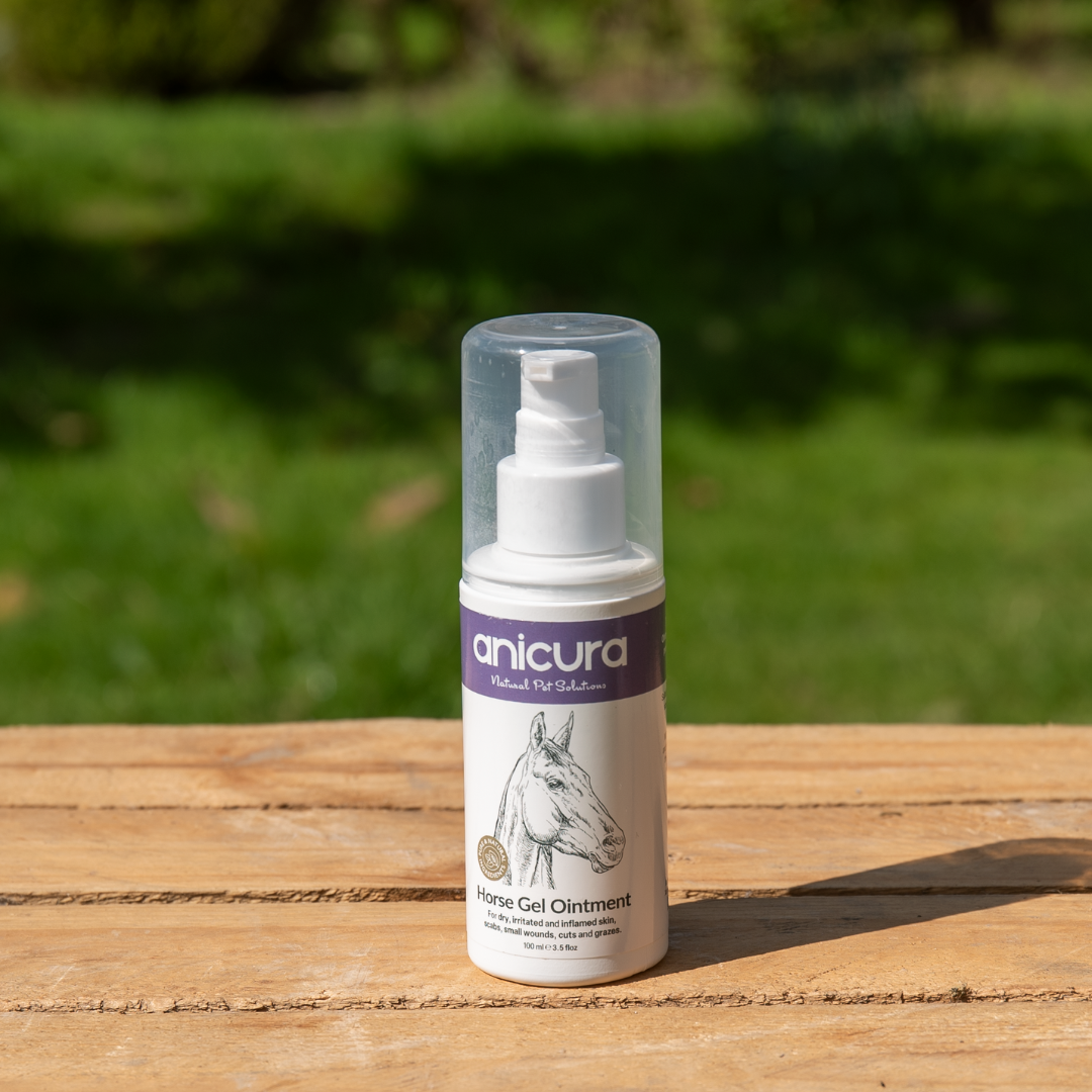 Horse Gel