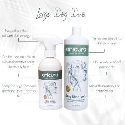 Large Dog Duo