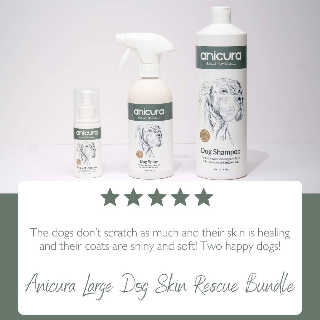 Large Dog Skin Rescue Bundle