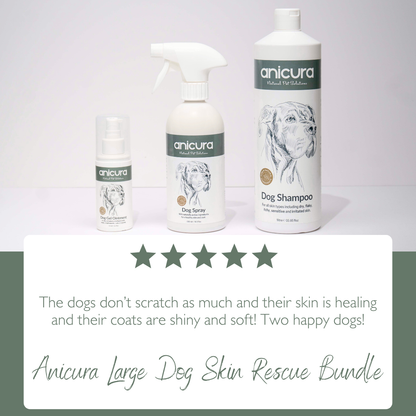 Large Dog Skin Rescue Bundle