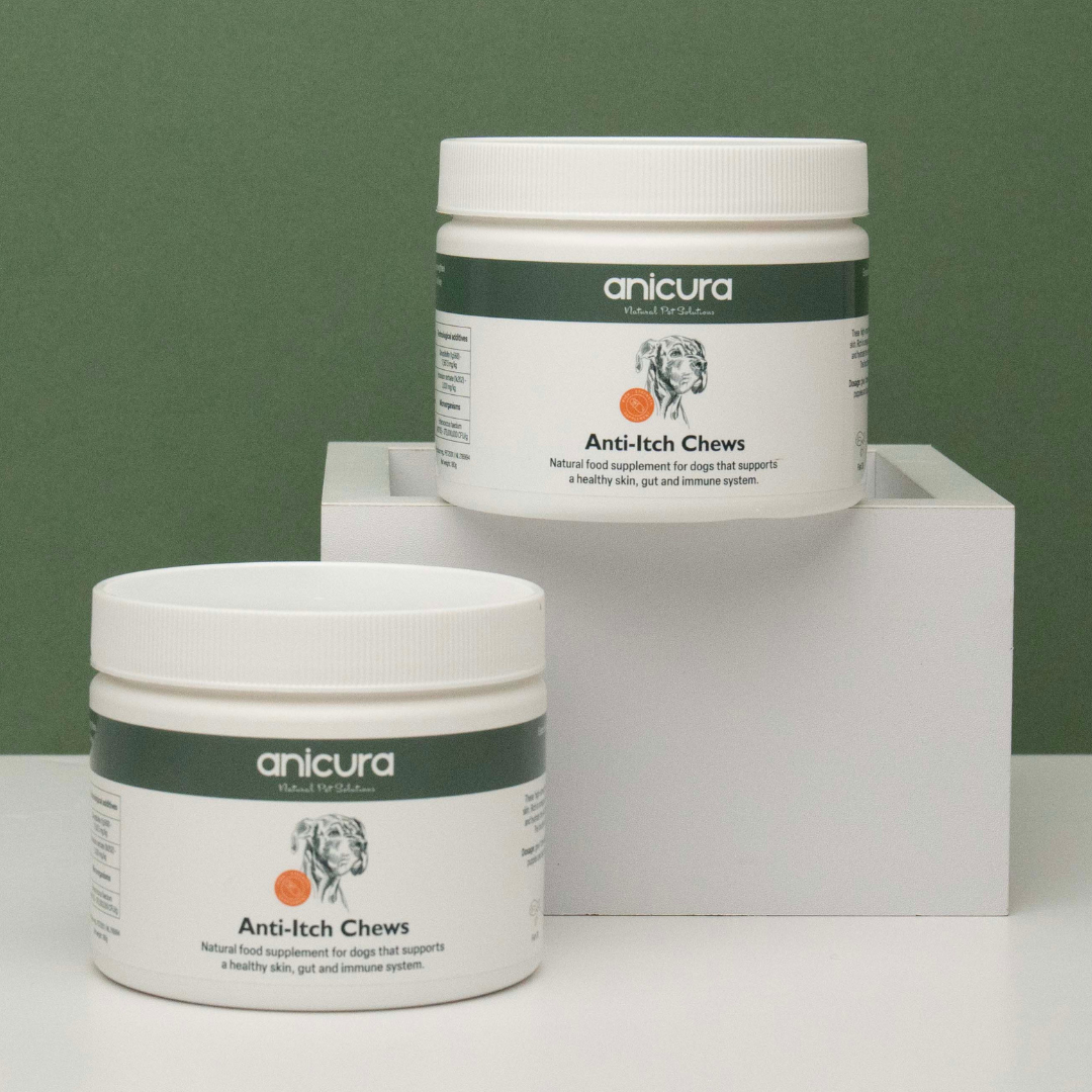 Anti-Itch Dog Chews Twin Pack