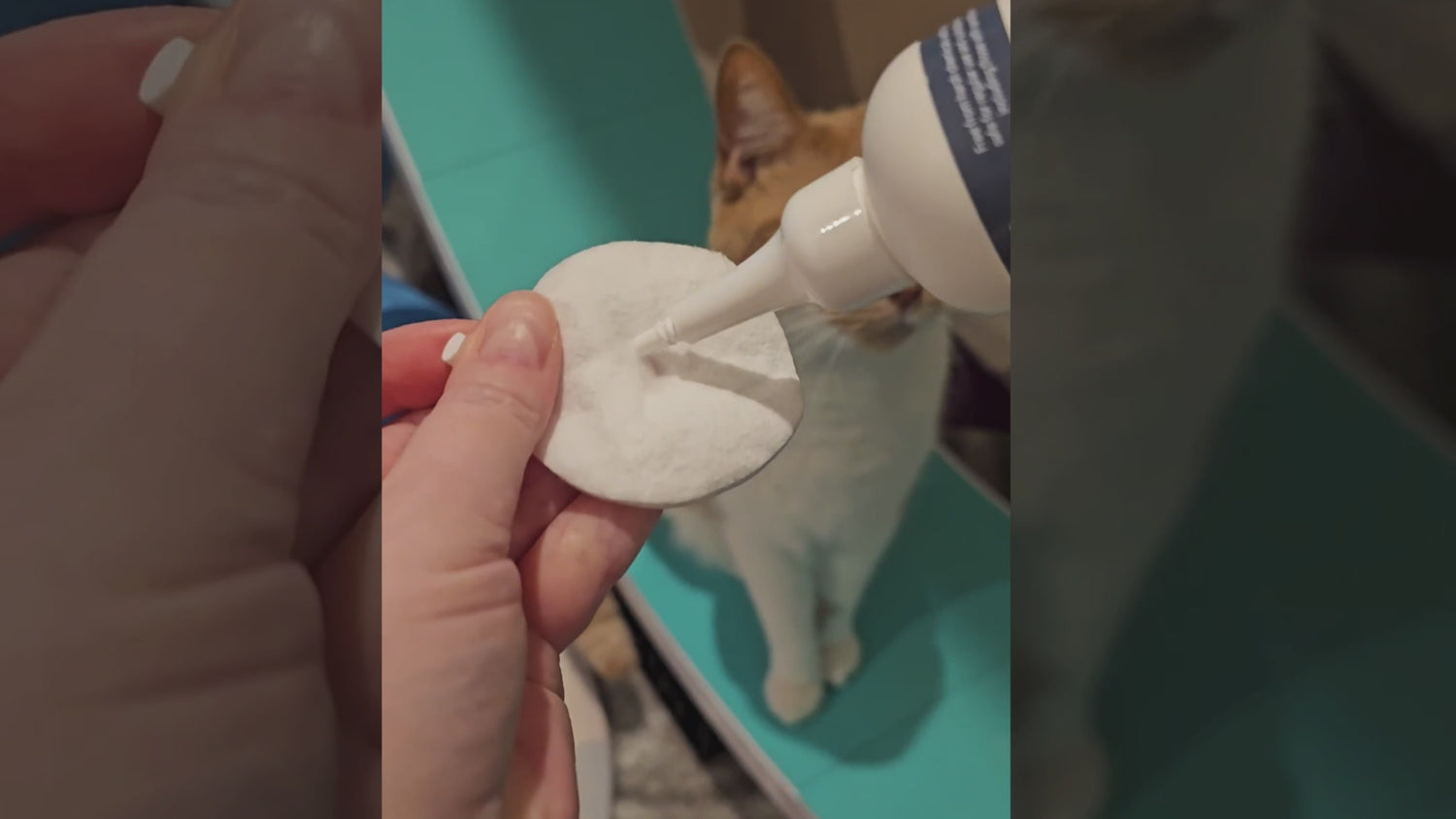 Cat Ear Cleaner